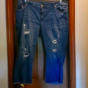 Maurices 22W jean capris